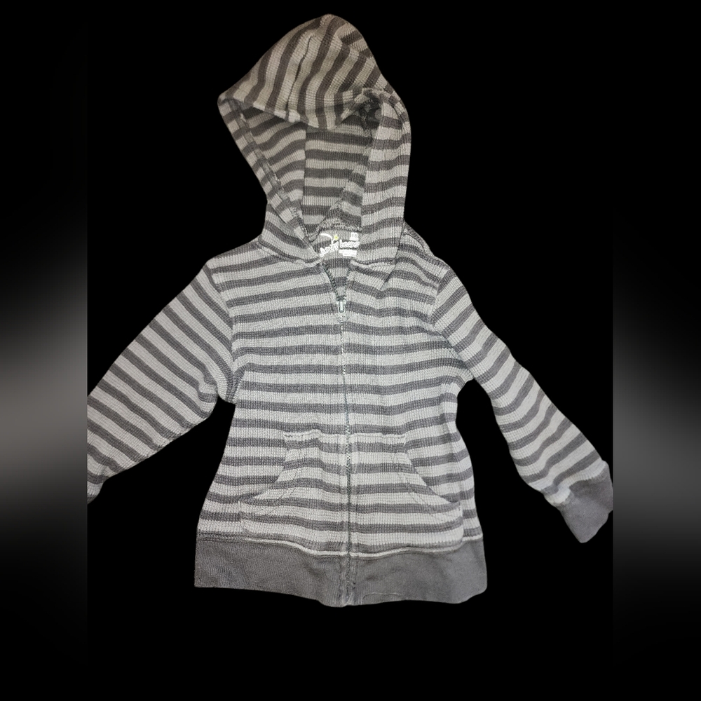 Jumping Beans Gray Striped and Blue Full Zip Hoodie 18m - Picture 5 of 5